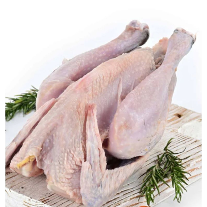 

ayam kampung