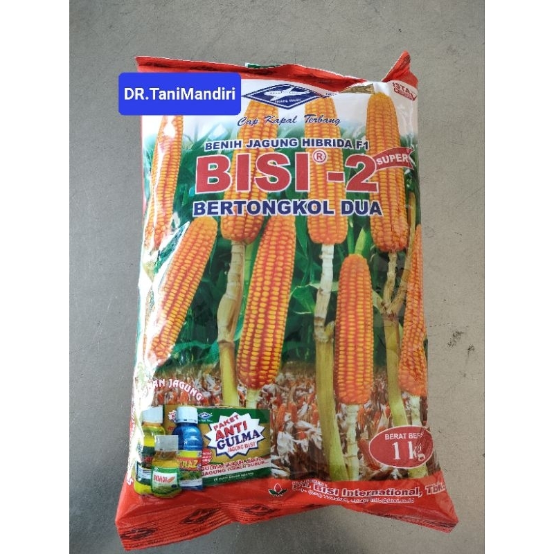 Benih jagung Bisi 2 1kg cap Kapal Terbang