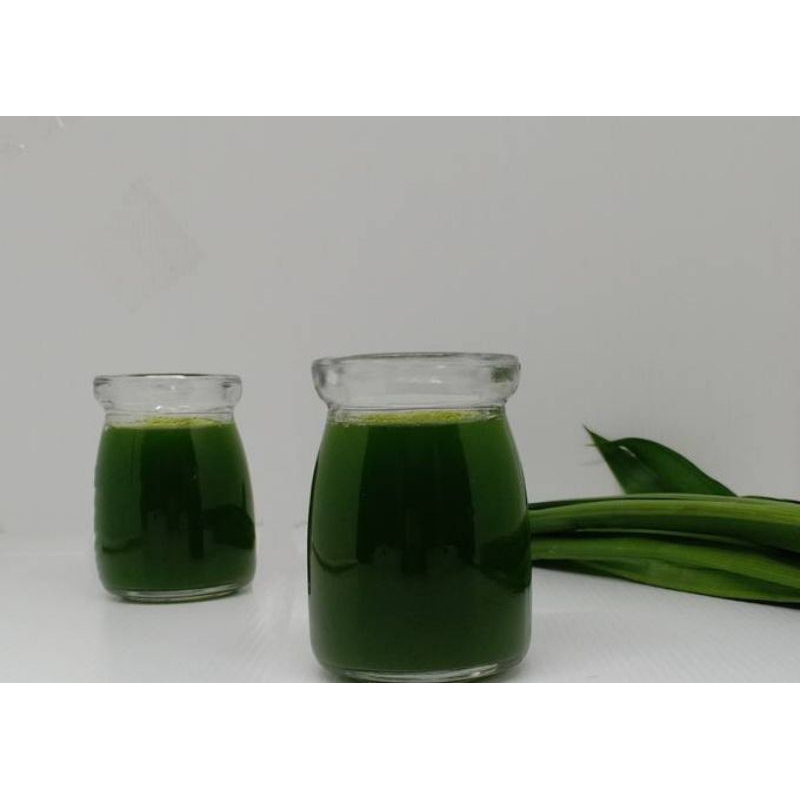 essen ikan mas ,harian lomba ikan mas siang malam,resep umpan