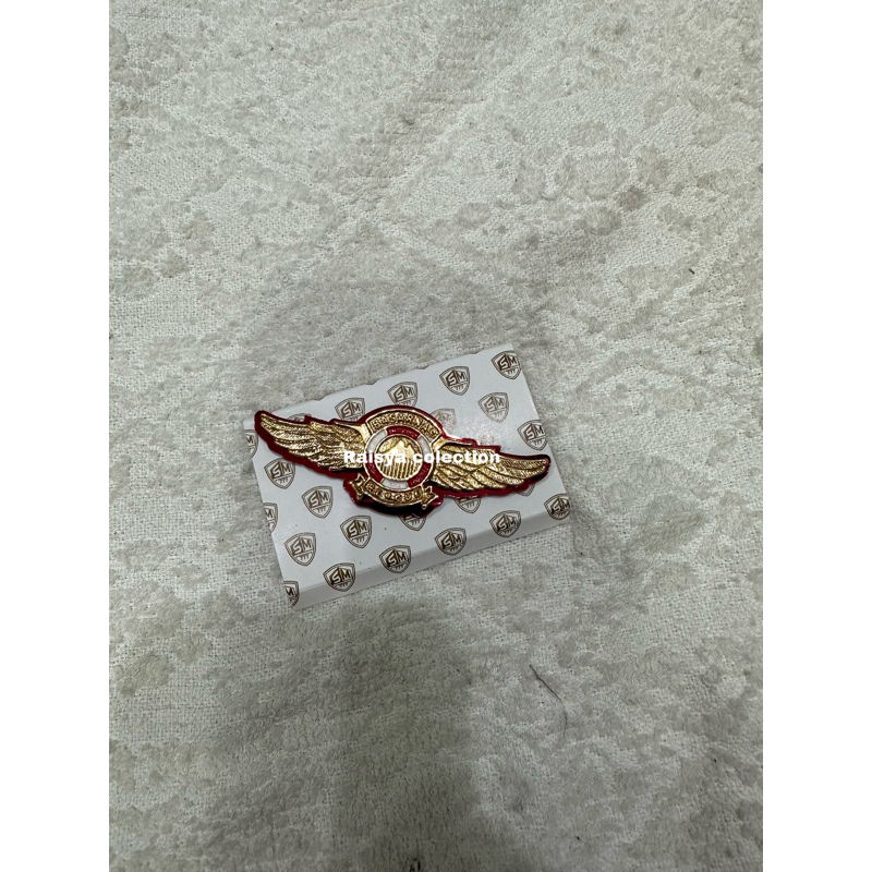 PIN LENCANA BASARNAS/ WING BASARNAS