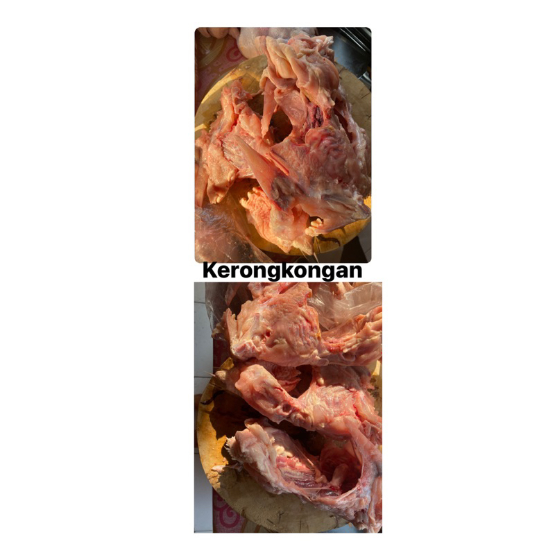 

KERONGKONGAN AYAM BOILER/TULANG AYAM FROZEN/TULANG PUNGGUNG AYAM