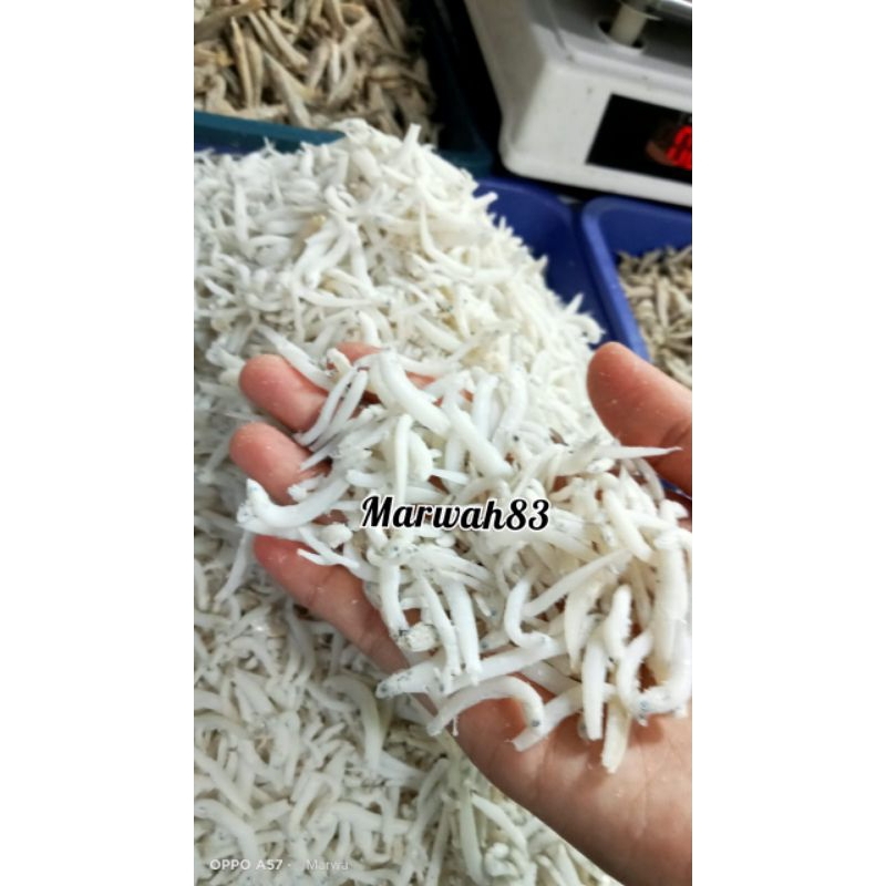 

tn super uk besar murah kualitas super murah 1kg