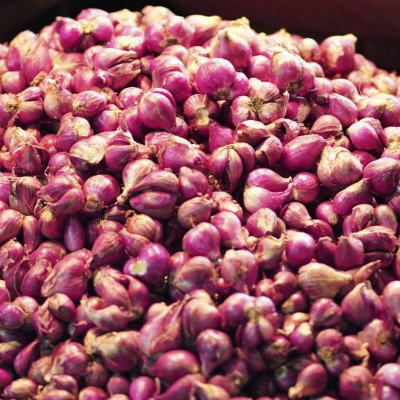 

Terbaru Bawang Merah Super 500 gr ➞✸✿