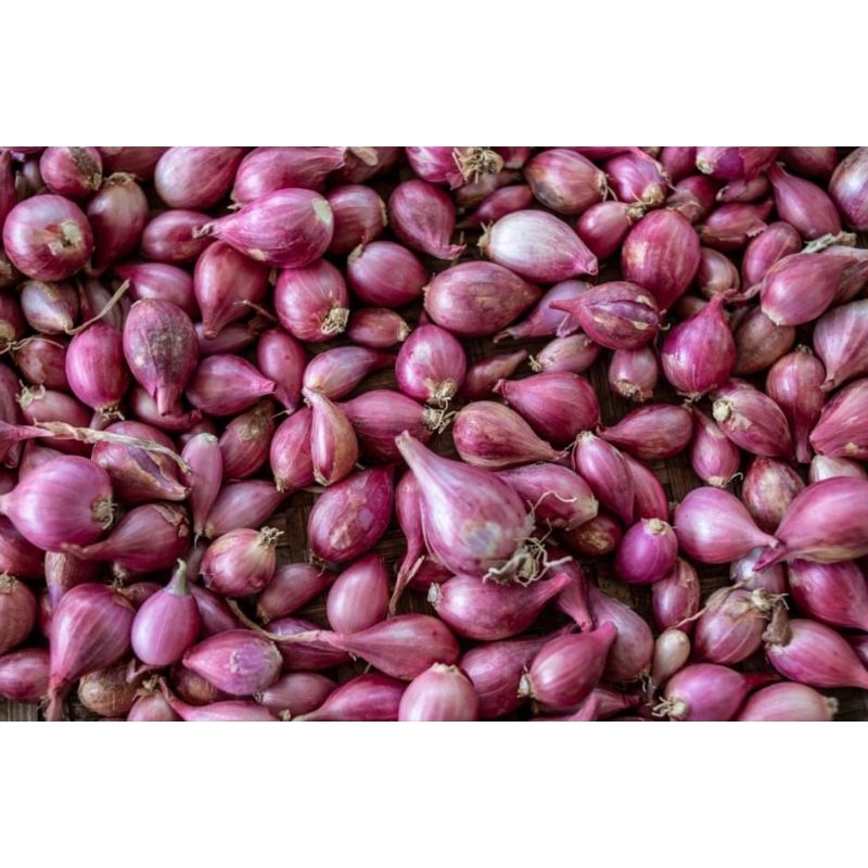 

BAWANG MERAH BREBES ASLI BESAR