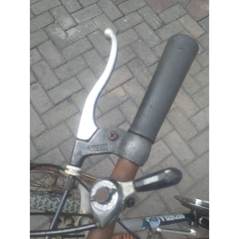 sepeda mtb lady 26 federal wild cat