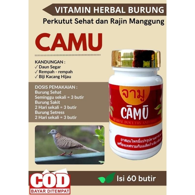 Camu | vitamin burung perkutut | pil burung perkutut | , |Perkutut Gacor | RajinManggung | Perkutut Berkicau | Perkutut Lokal (isi 60 butir)
