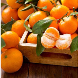 Biji Benih Bibit Jeruk Keprok Mandarin Ponkam - Organik Rasa Manis