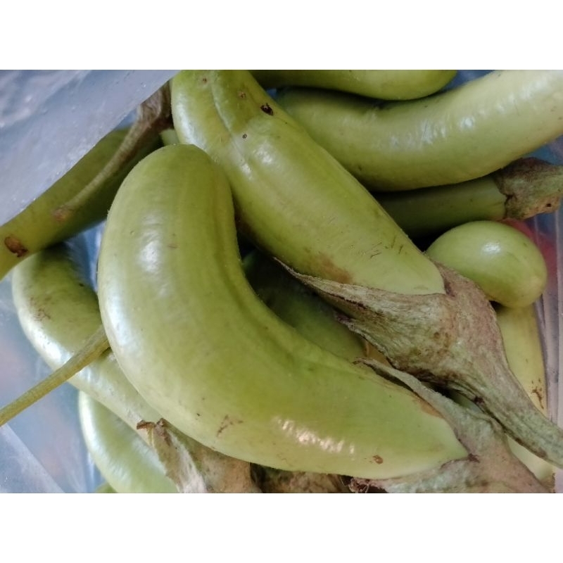 

Terong Panjang&Bulat 1/Kg