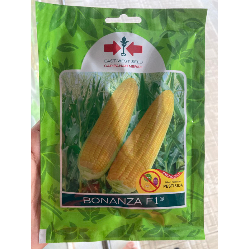 

benih bibit jagung BONANZA F1 isi 200btr