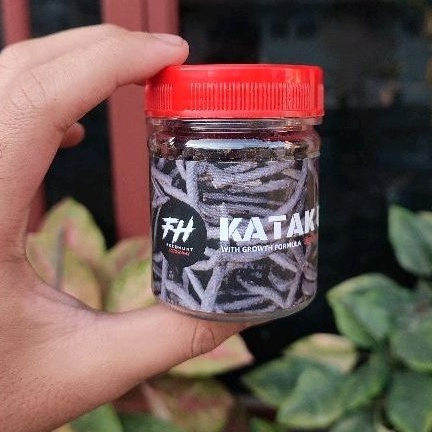 12.12 STOK READY FEEDHUNT KATAK GILING, PAKAN AURANTI PELET KATAK KODOK MURNI KATAK SAWAH, HIGHFIN m