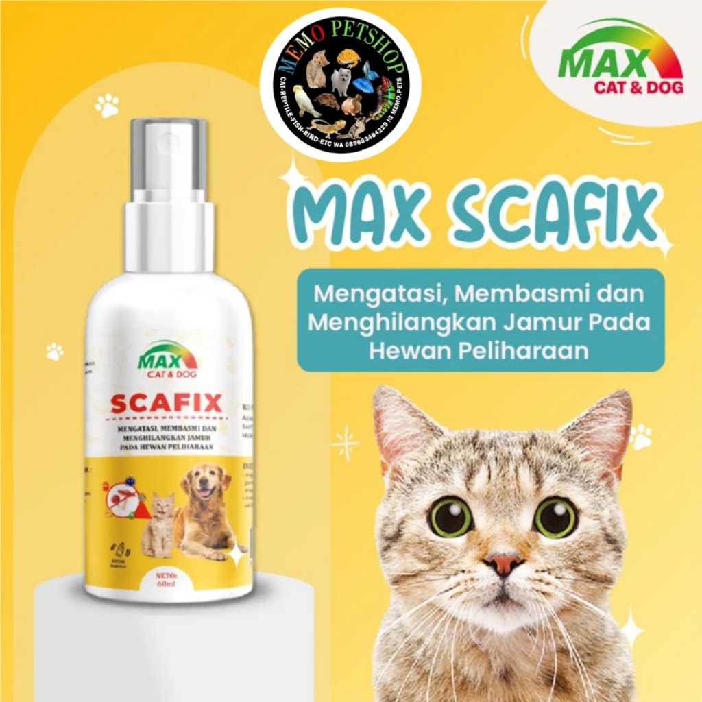 OBAT JAMUR SPRAY KUCING ANJING | MAX SCAFIX