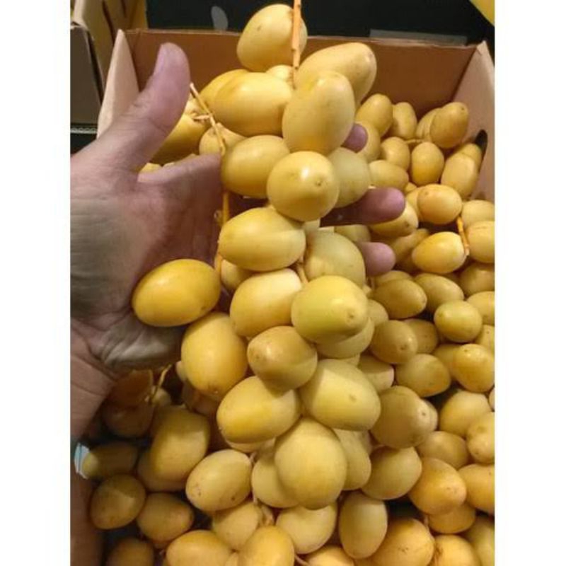 

Kurma Muda Barhee 500Gr Paket Promil