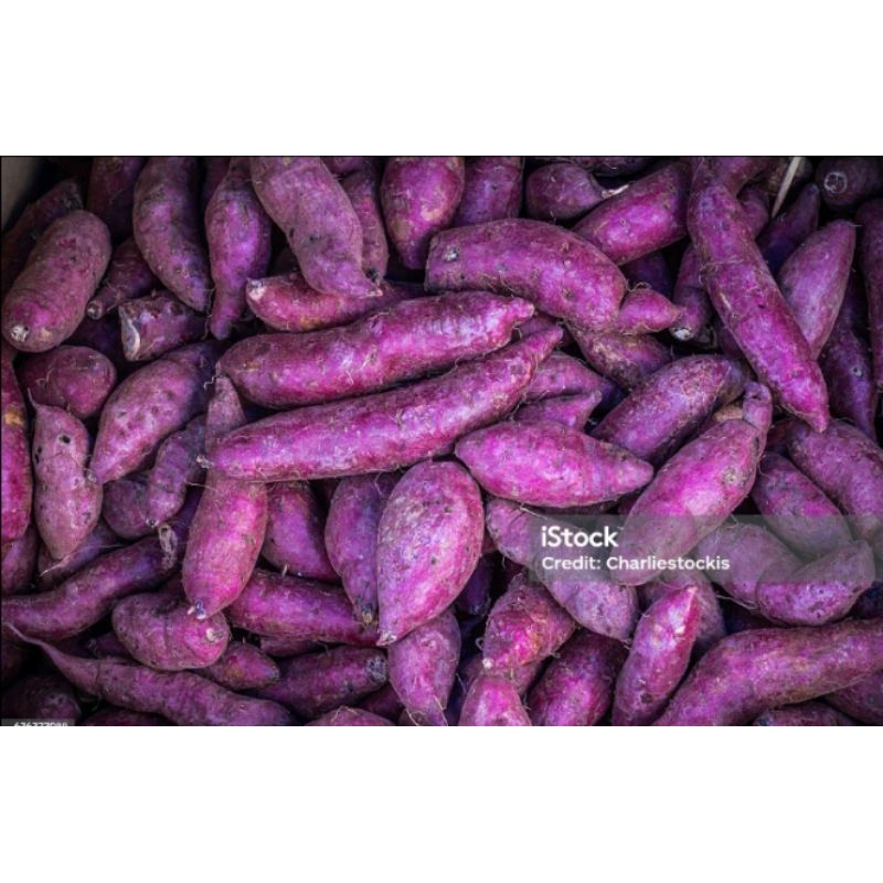 

umbi jalar mentah 500grm 5000