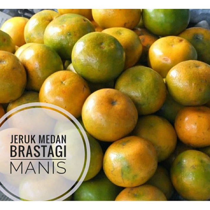 

BSMT6711 HOT buah jeruk medan brastagi super manis