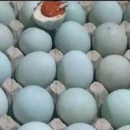 

telor asin mateng 1 buah