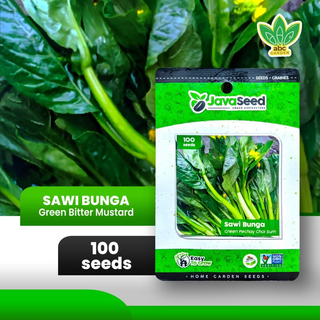 [100 seeds] Benih Sawi Bunga Cai Xin Green Choy Sum
