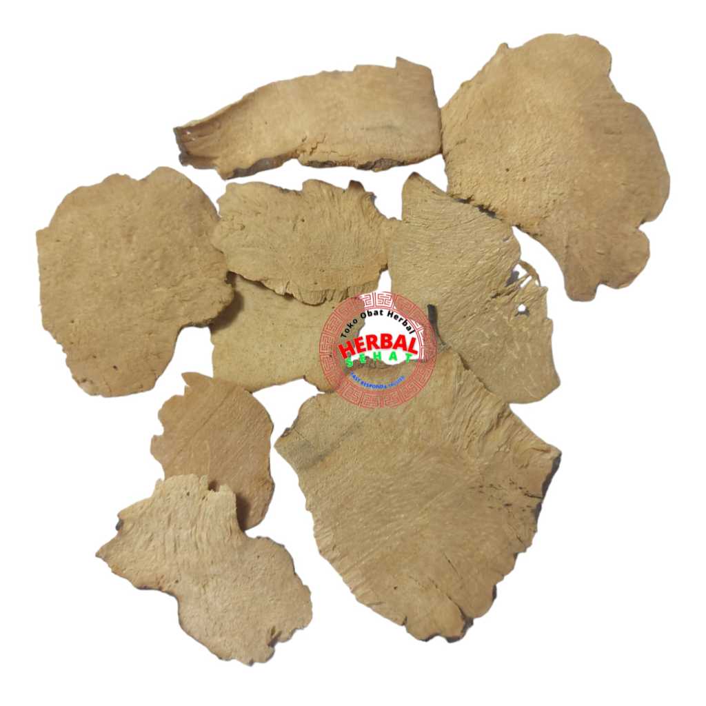 

Bi Xie 50 gram - Bei Xie / Chuan Tai Rhizoma Dioscoreae Hypoglaucae