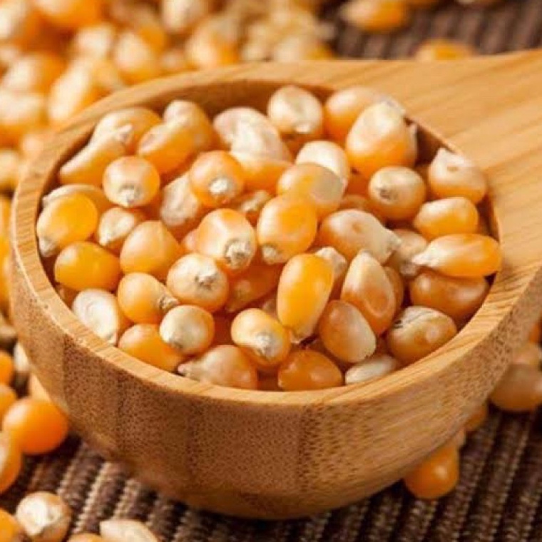 

[KODE PRODUK NHRY95481] JAGUNG POPCORN PREMIUM 1KG Jagong Mekar Butterfly