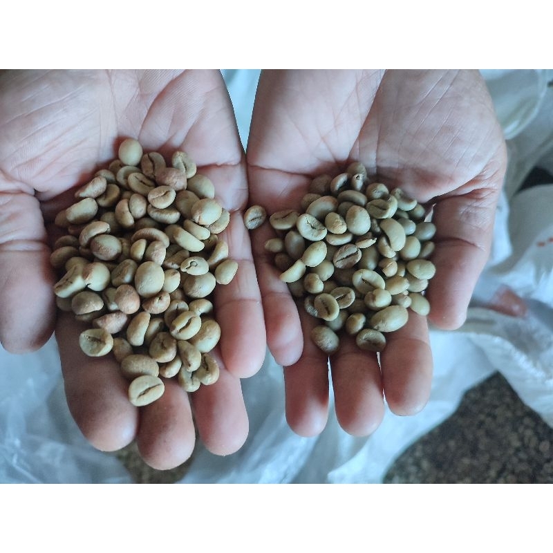 

Kopi Robusta Natural Temanggung