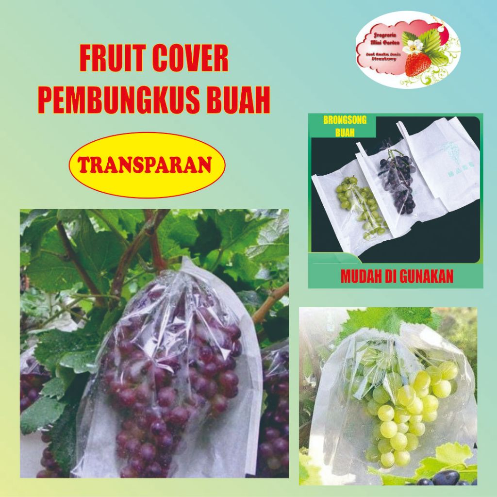 FRUIT COVER / BRONGSONG BUAH TRANSPARAN