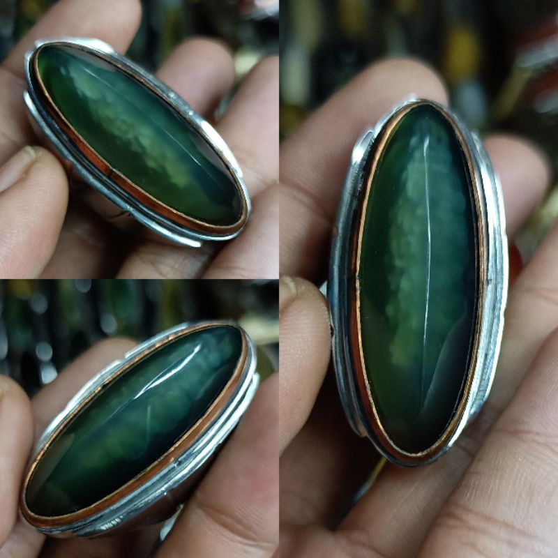 PANDAN LUMUT SISIK BETOK