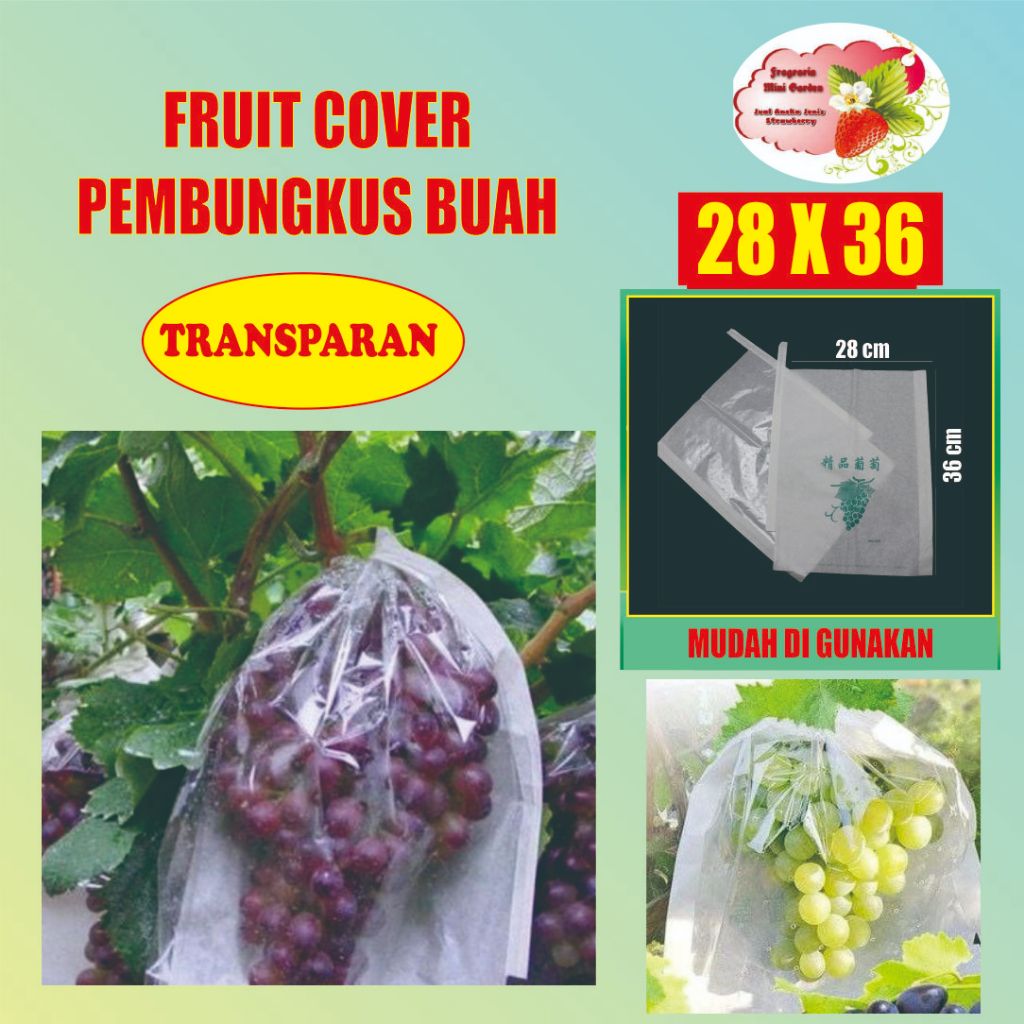 FRUIT COVER / BRONGSONG BUAH TRANSPARAN 28 X 38