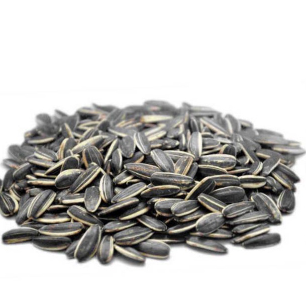 

H4rga Pr0mo Kuaci Biji Bunga Matahari 500GRAM - Sunflower Seed - kwaci matang - kuaci Original Only One