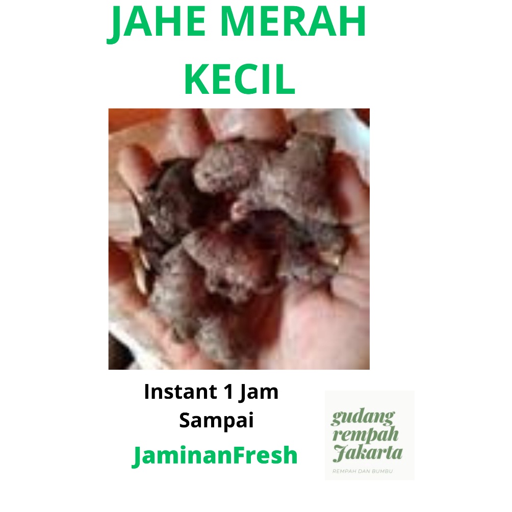 

9M90 JAHE MERAH KECIL 1 KILOGRAM ↔Stock Banyak