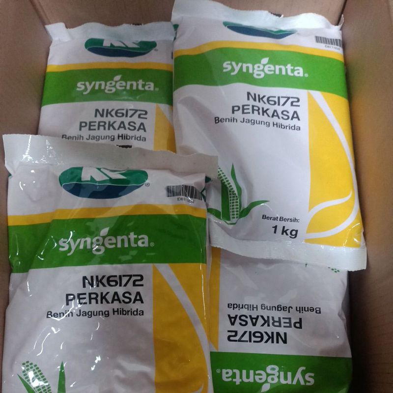 Benih Jagung Hibrida NK6172 Perkasa