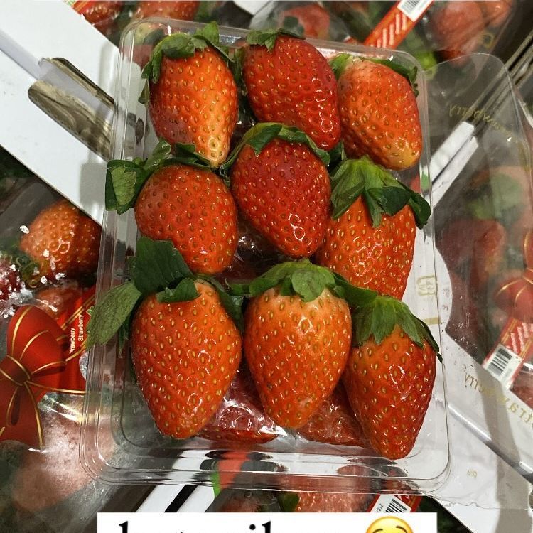 

Trustedshop - Strawberry Korea Fresh Segar Manis