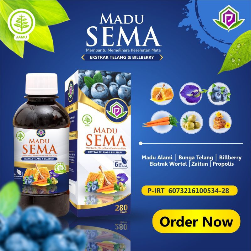 

madu bilberry | sehat mata | madu sema | 280gr PH