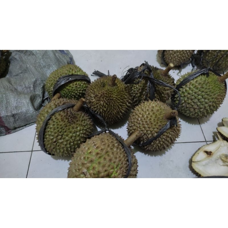

durian mantap