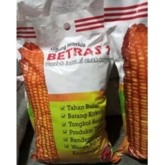 Benih jagung betras 5kg