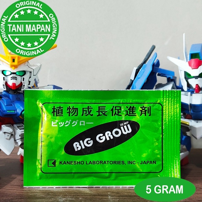 

H4rga T3rmurah ZPT - BIG GROW 5 gram - GA3 Get it now