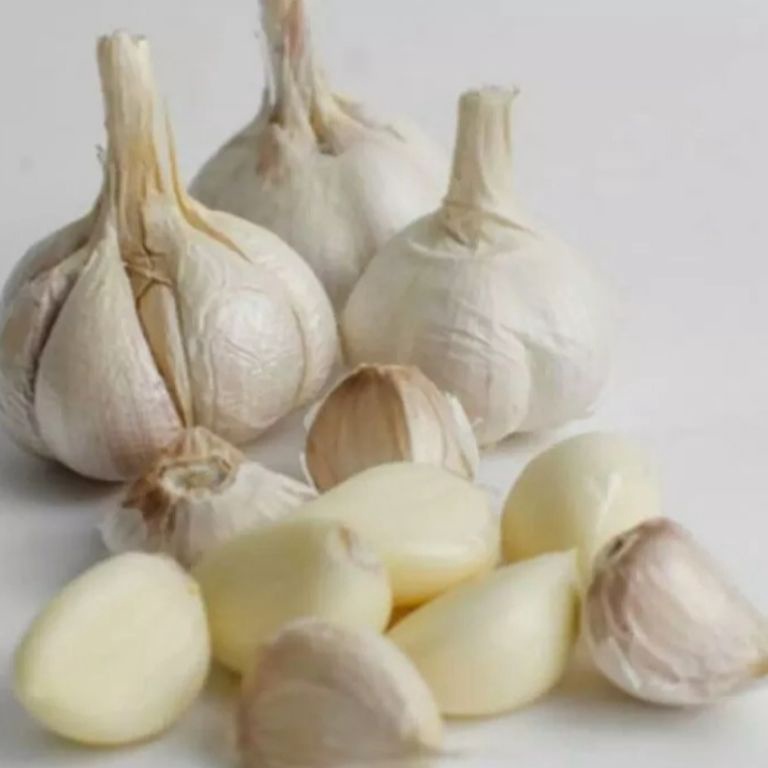 

[☪A67\] Bawang putih kating bersih kering 1kg/1000gram Stock Ada