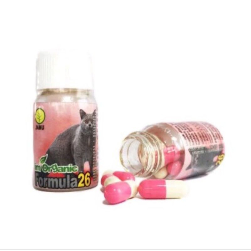 IMO Formula 26 ( Obat Muntah dan Diare Pada Kucing) (exp 25 05 2028)