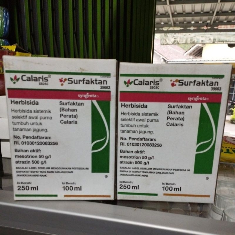 Calaris surfaktan herbisida untuk tanaman jagung