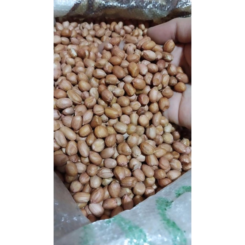 

Kacang Tanah Tuban