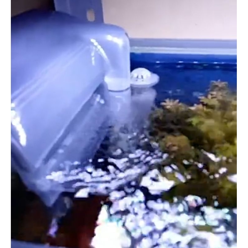 KYOTO P 503 Pompa Hang on filter aquarium filter gantung