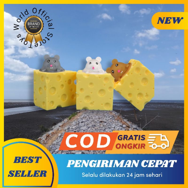 Toys - Mainan Anak Pop It Squishy Tikus - Tupai - Katak - Kodok Karet Silikon - Penghilang Stress