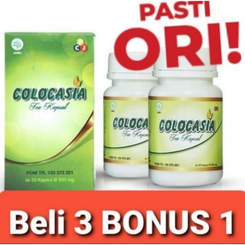 COLOCASIA  kapsul Penambah Cairan Lutut Sendi Original lejel-Herbal