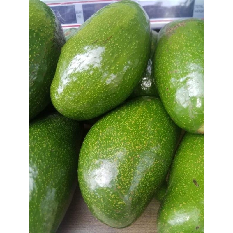 

buah segar alpukat pameling
