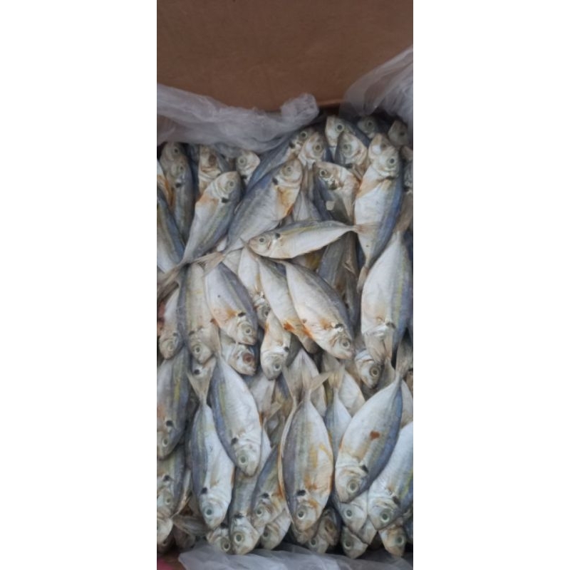 

ikan asin selar 500gr