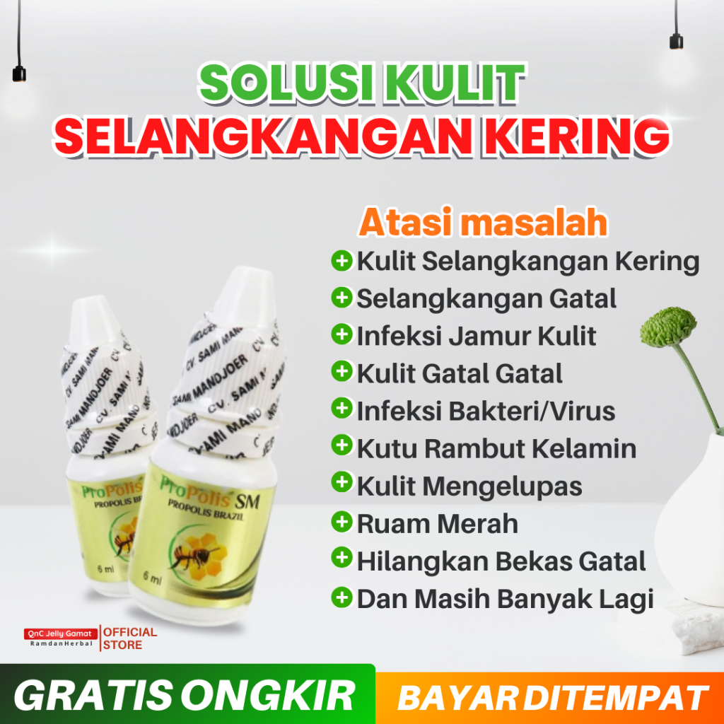 Obat Kulit Selangkangan Kering Gatal Menghitam Gatal Meradang Gatal Menyebar Infeksi Jamur Kulit Pro