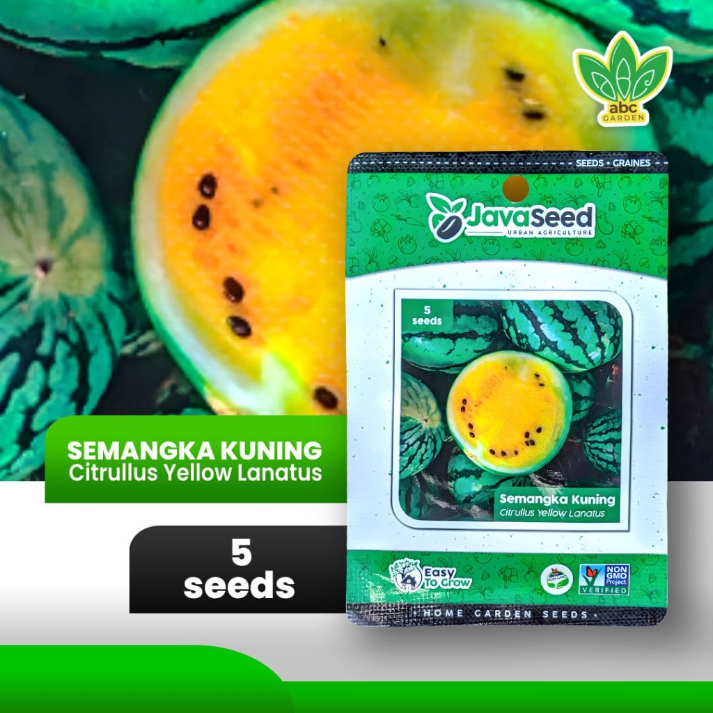 [5 Seeds] Benih Buah Semangka Kuning Lokal Amarelo F1