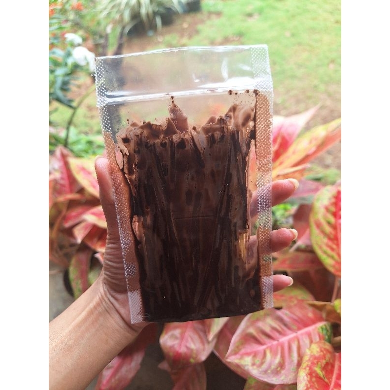 

Milidi Lumer Coklat Berkualitas
