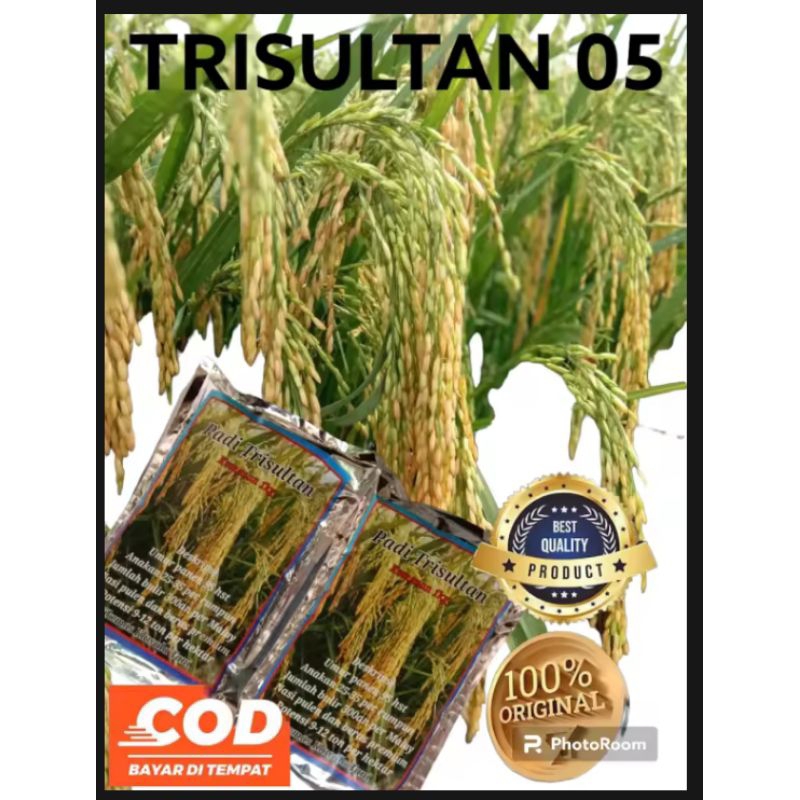 BIBIT PADI TRI SULTAN BARU 1KG