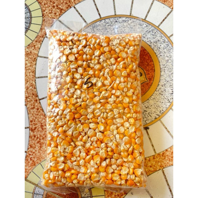 

jagung kering kualitas terbaik