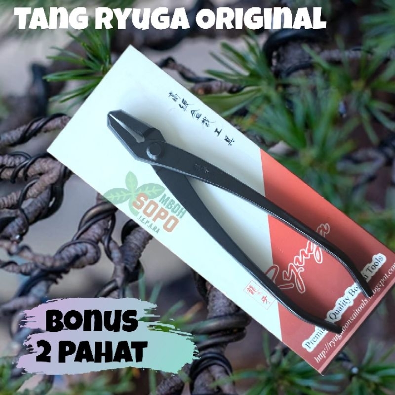 Alat Bonsai - Tang Kawat -Tang Jin Ryuga RC 05