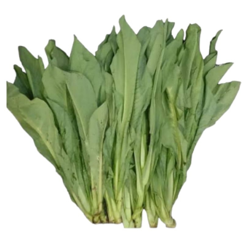 

sayur fumak 500 gram